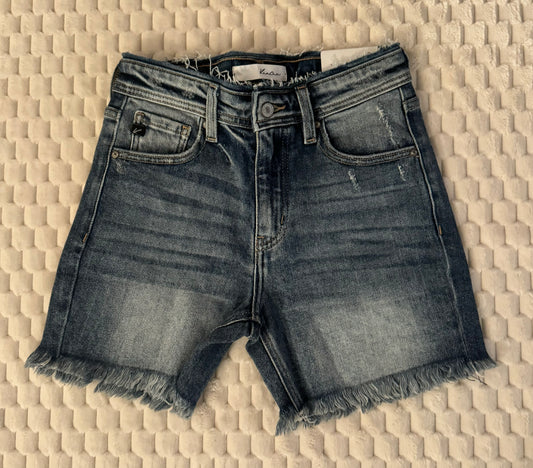 0376 High Rise WB Frayed Shorts Medium